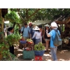 Two Days Mekong Delta Tour (My Tho - Ben Tre - Can Tho)